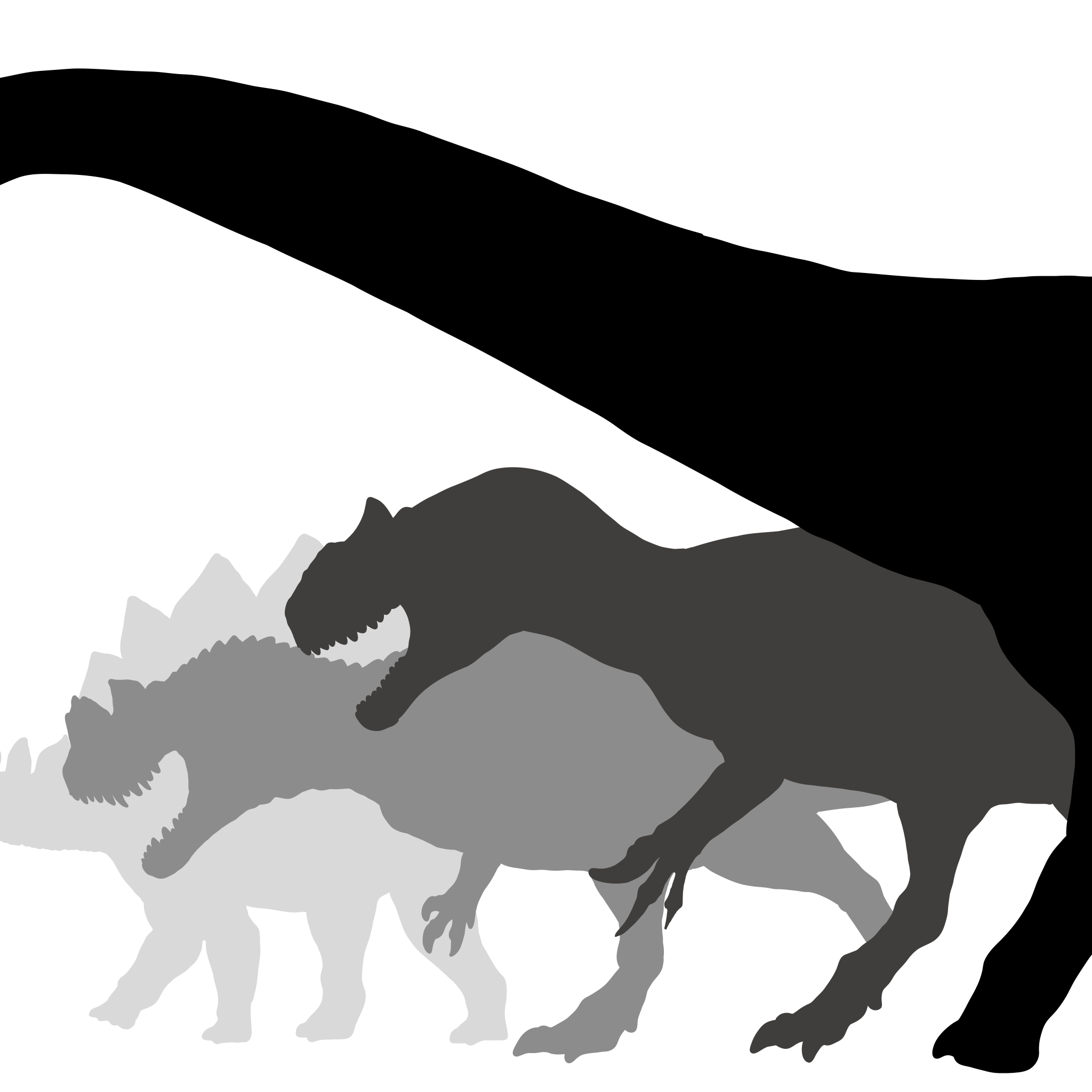 Morrison Formation Bone