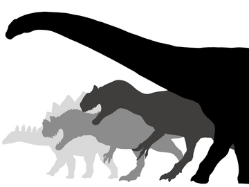 Morrison Formation Bone