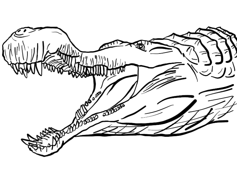 Sarcosuchus