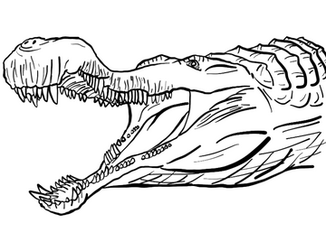 Sarcosuchus