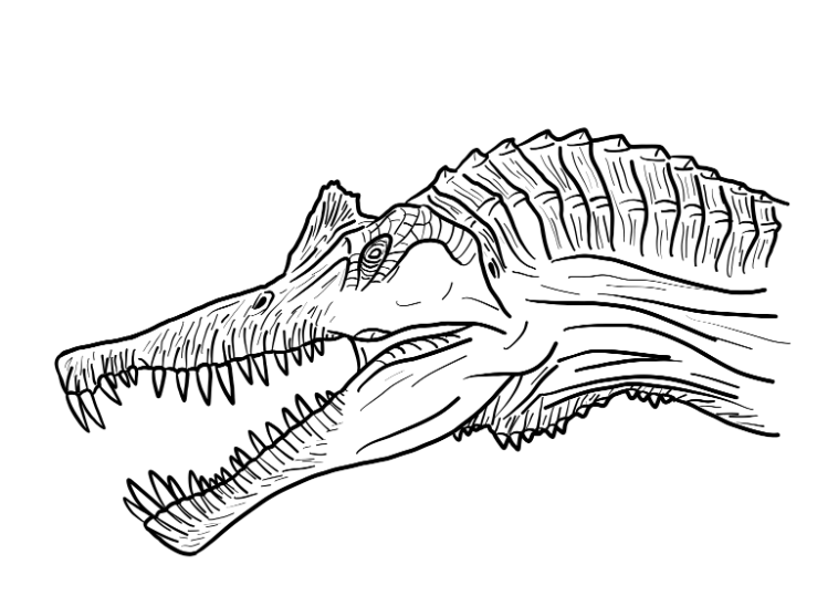 Spinosaurus