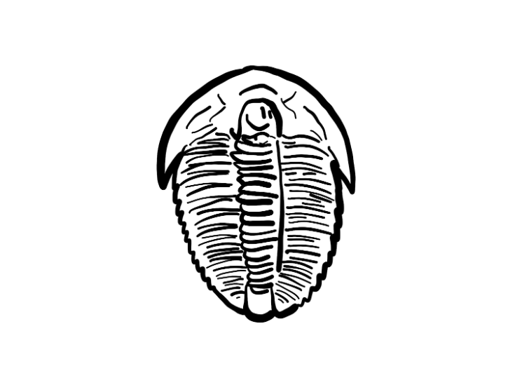 Trilobite