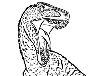 Utahraptor