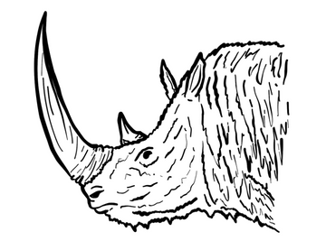 Wooly Rhino