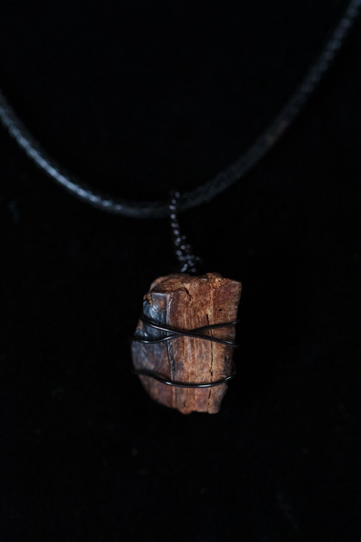 Tyrannosaurus Rex Tooth Fragment Necklace