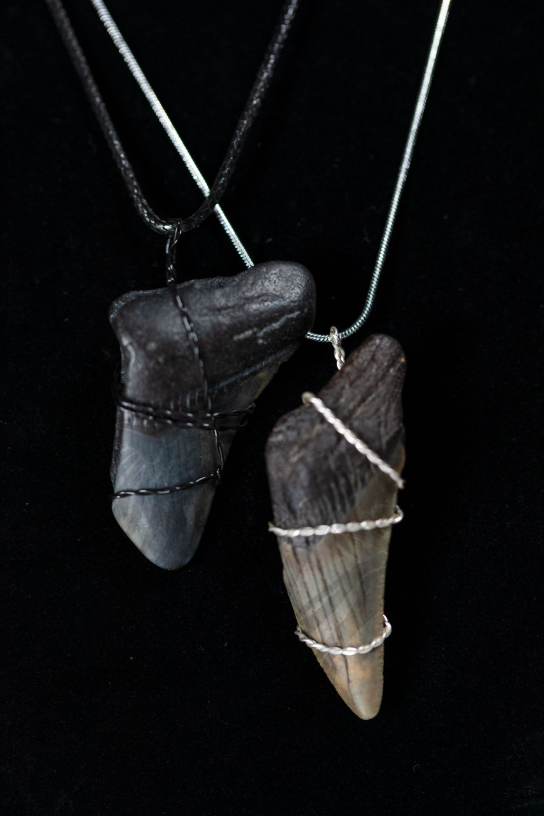 Megalodon Tooth Necklace