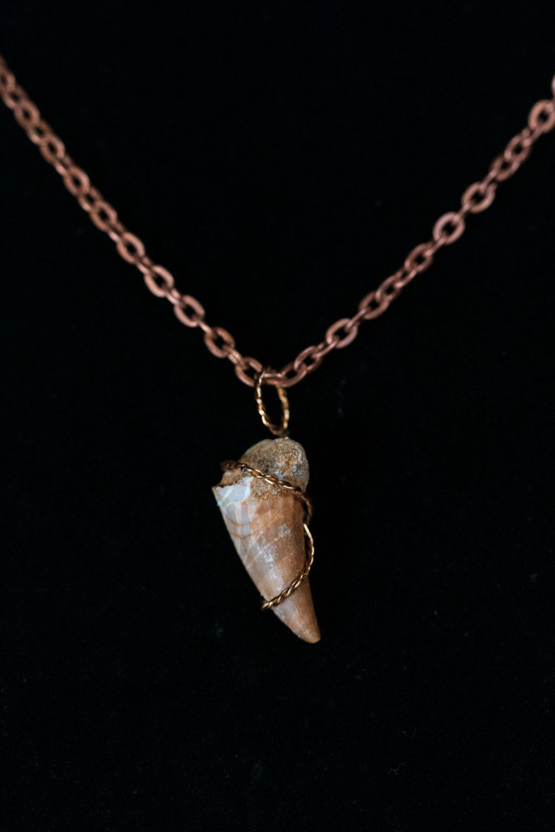 Mosasaurus Tooth Necklace